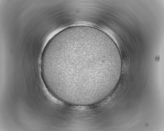 X0000093621003200711051235