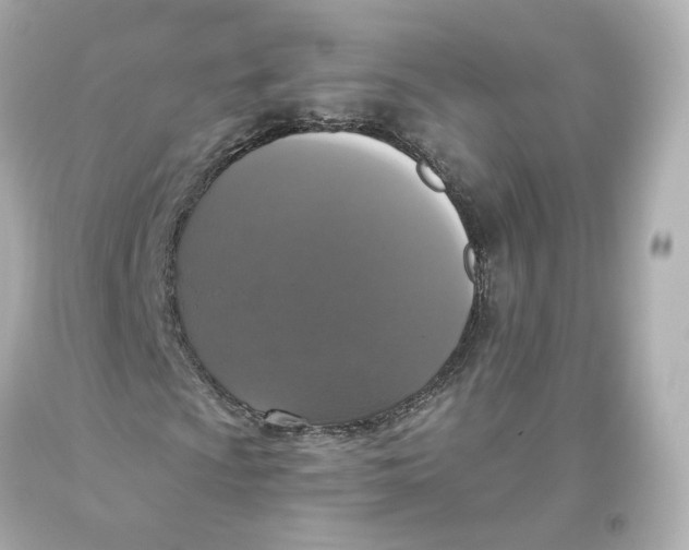 X0000093621009200711051235