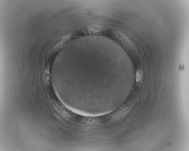 X0000093621011200711051235