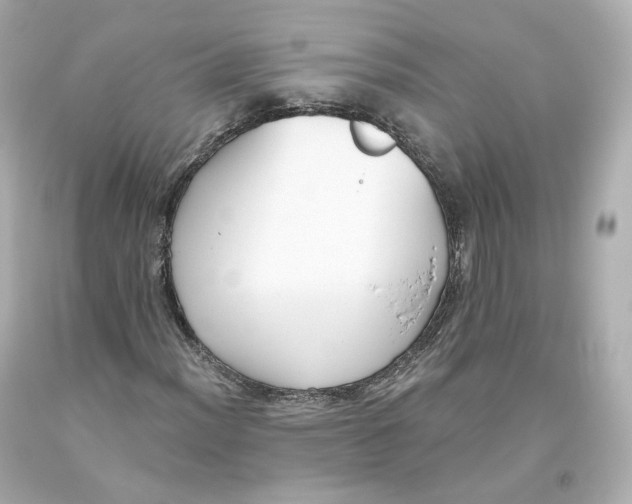 X0000093621012200711051235