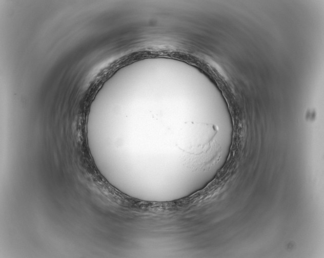 X0000093621016200711051235