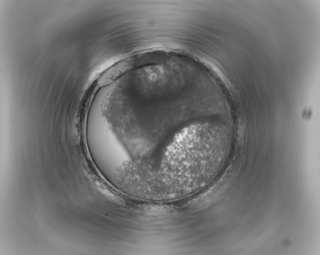 X0000093621018200711051235