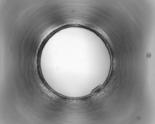 X0000093621020200711051235