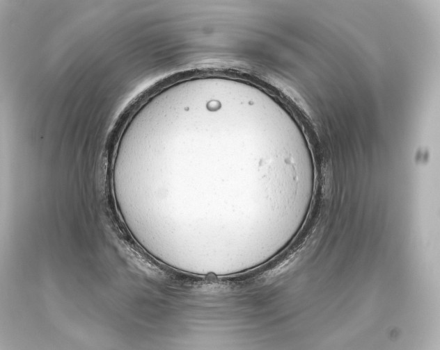 X0000093621021200711051235