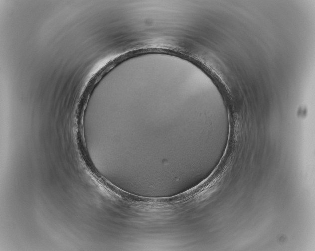 X0000093621024200711051235