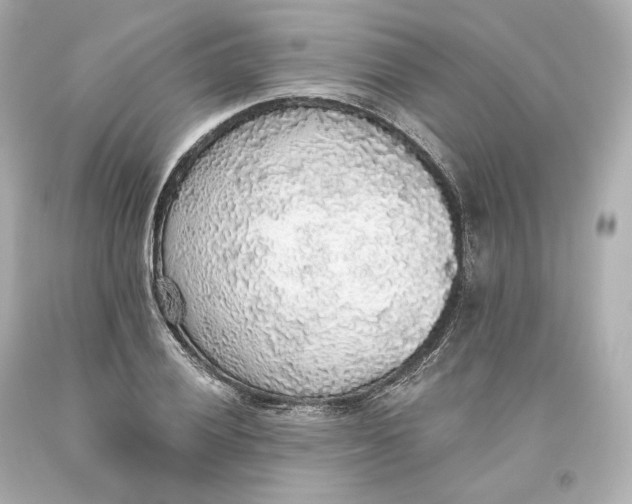 X0000093621028200711051235