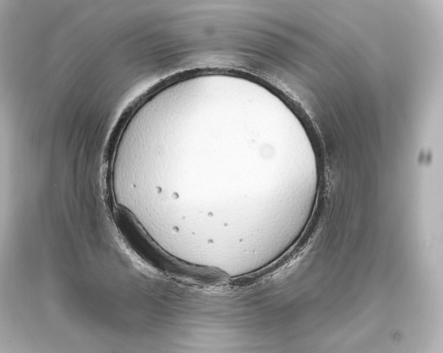 X0000093621029200711051235