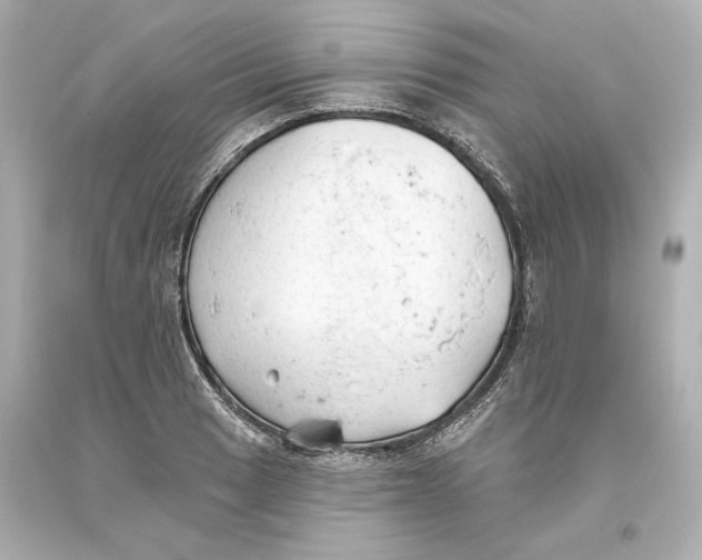 X0000093621033200711051235