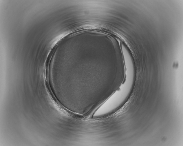 X0000093621034200711051235