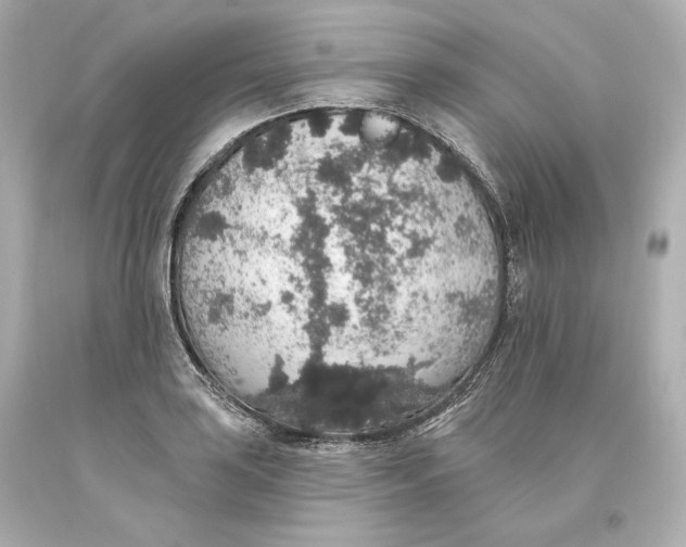 X0000093621035200711051235