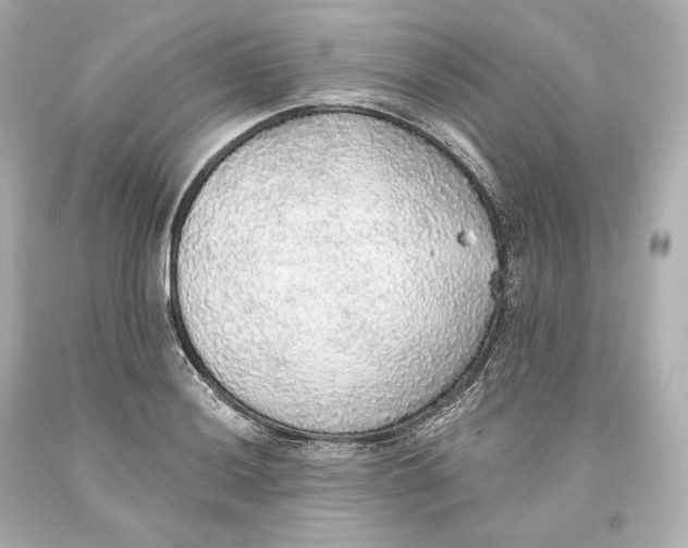 X0000093621036200711051235