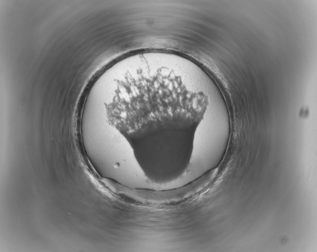 X0000093621037200711051235