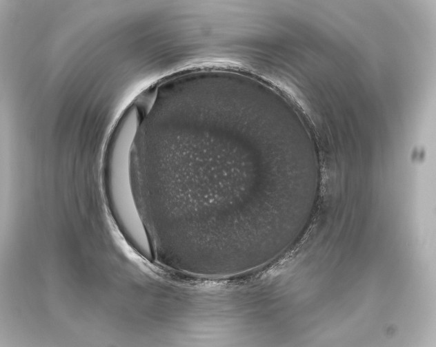 X0000093621038200711051235