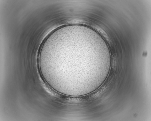 X0000093621039200711051235