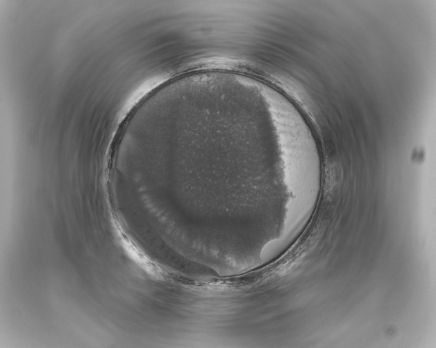 X0000093621042200711051235