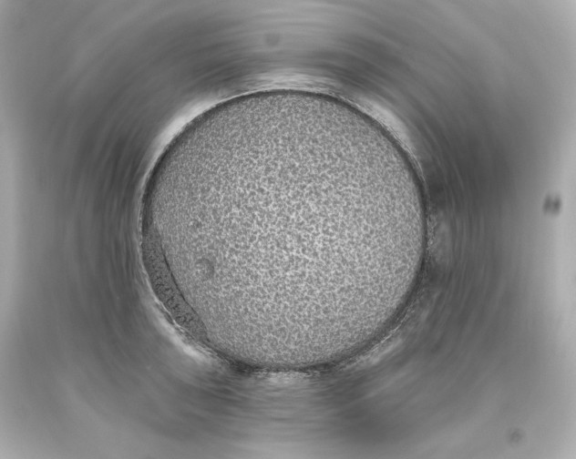 X0000093621043200711051235