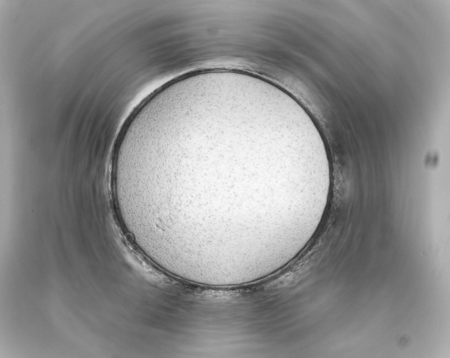 X0000093621044200711051235