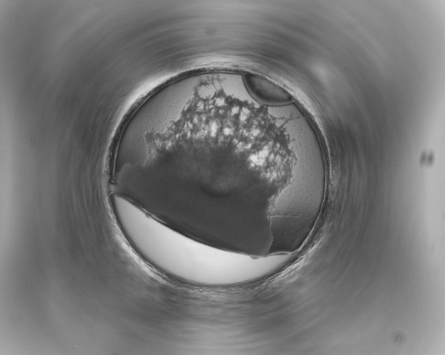 X0000093621045200711051235