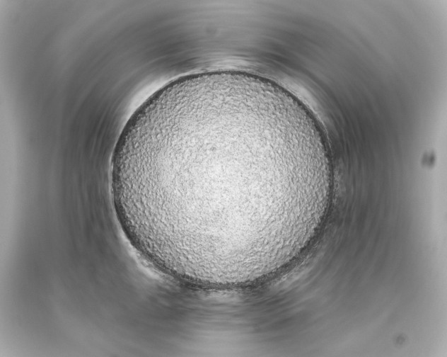 X0000093621047200711051235