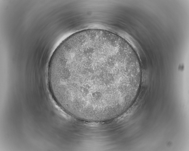 X0000093621048200711051235