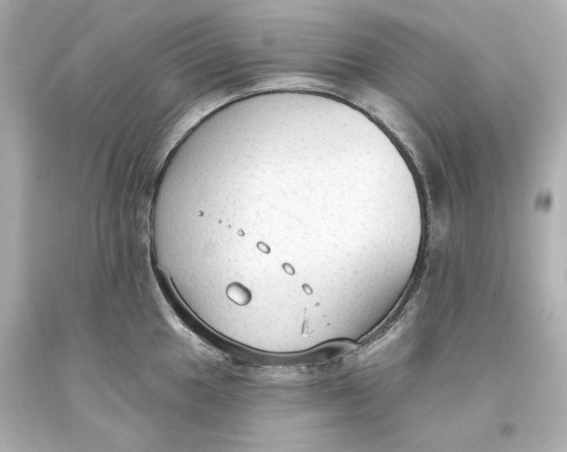 X0000093621049200711051235