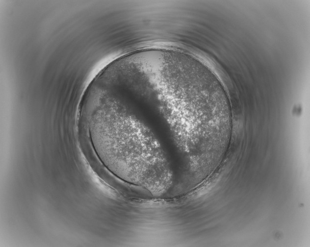 X0000093621050200711051235