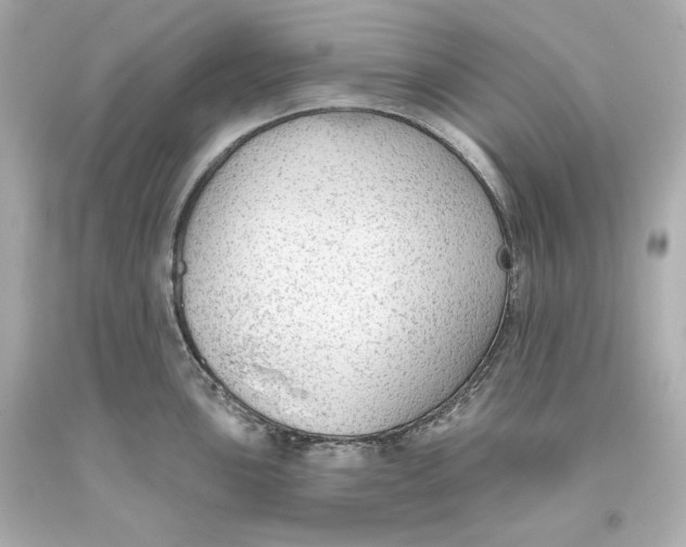 X0000093621051200711051235