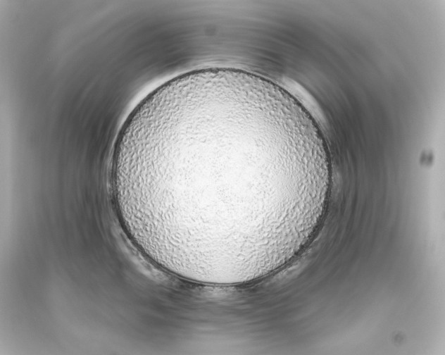 X0000093621052200711051235