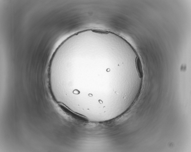 X0000093621056200711051235