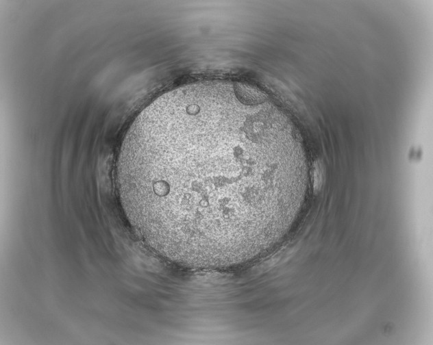 X0000093621059200711051235