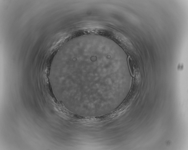 X0000093621060200711051235