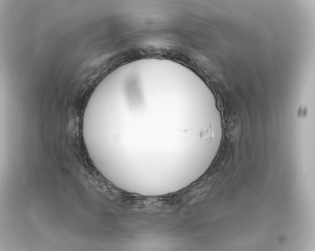 X0000093621061200711051235