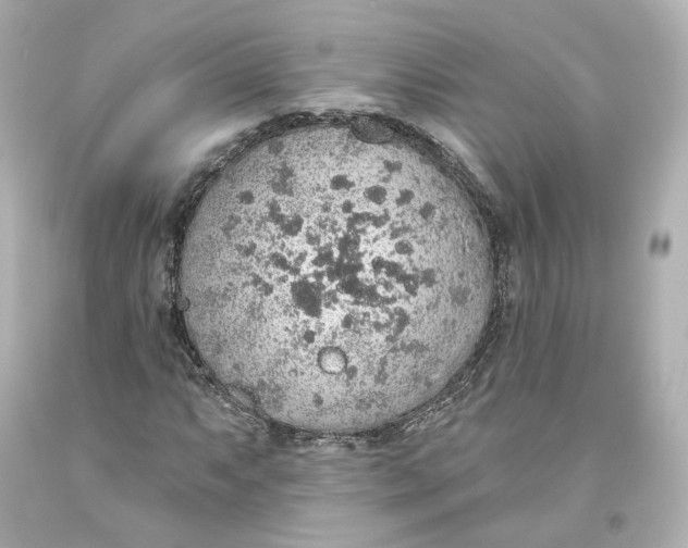 X0000093621063200711051235