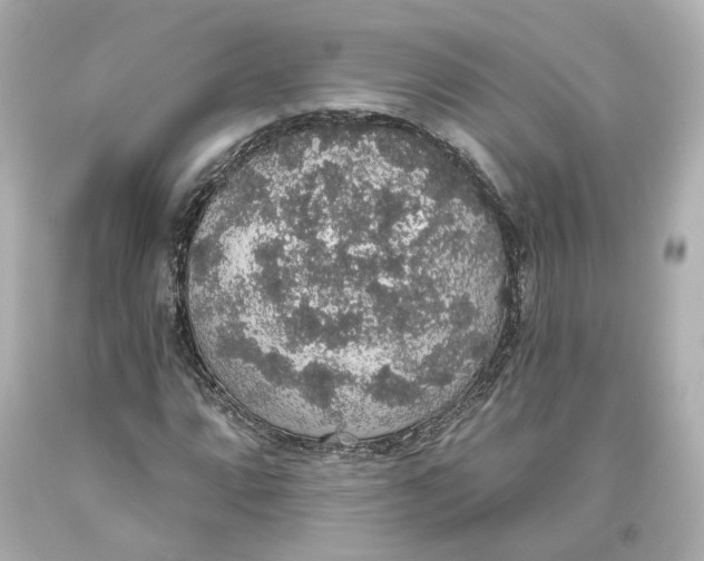 X0000093621064200711051235