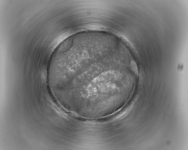 X0000093621065200711051235