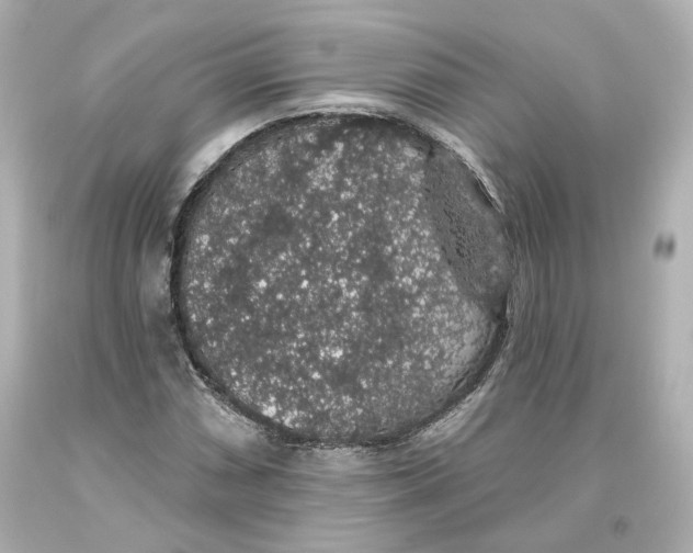 X0000093621066200711051235