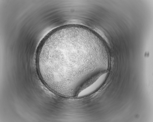 X0000093621068200711051234