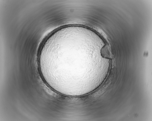 X0000093621072200711051234