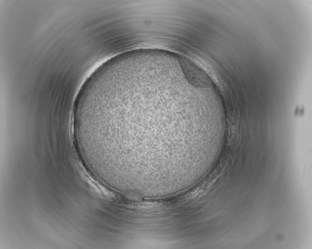 X0000093621076200711051234