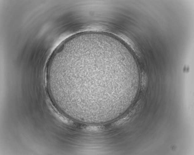 X0000093621078200711051234