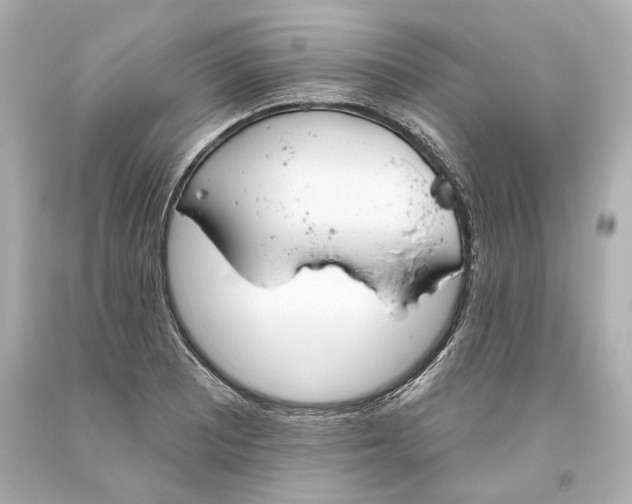 X0000093621081200711051234