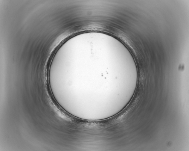 X0000093621082200711051234