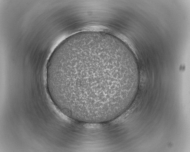 X0000093621083200711051234