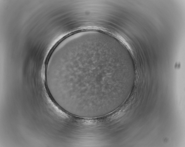 X0000093621084200711051234