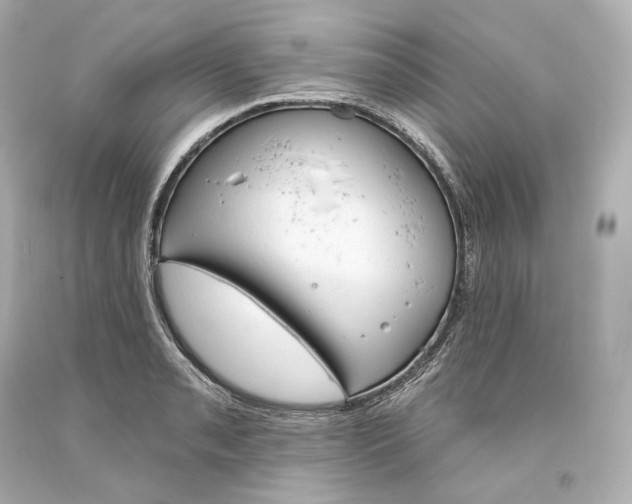 X0000093621085200711051234