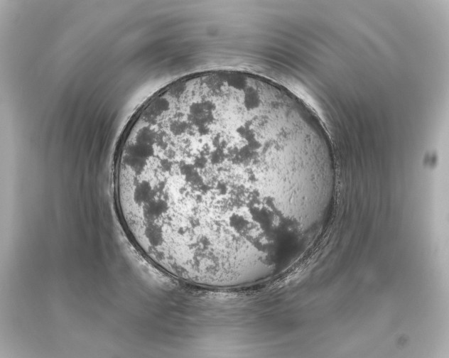 X0000093621088200711051234