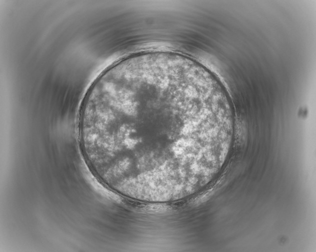 X0000093621090200711051234
