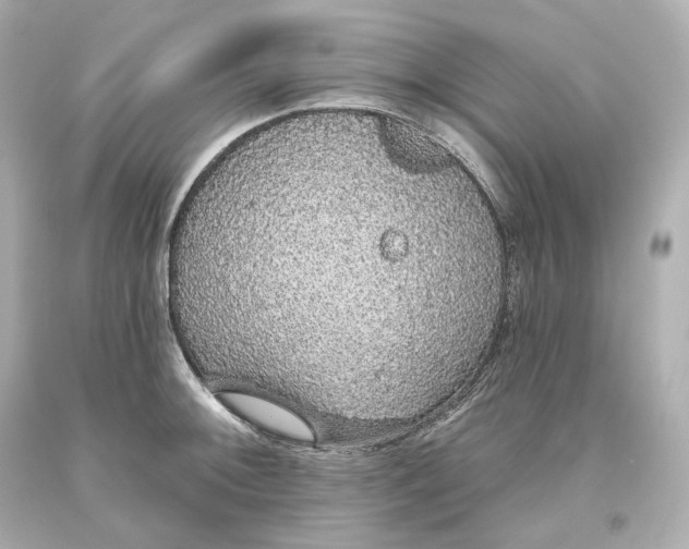 X0000093621092200711051234