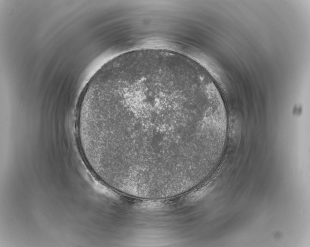 X0000093621094200711051234