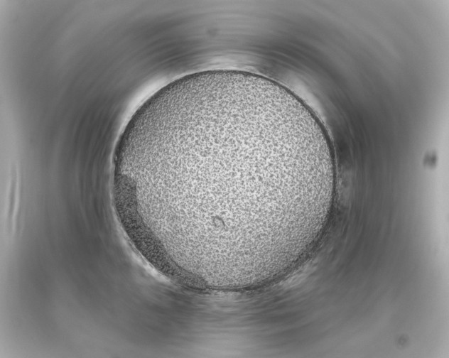 X0000093621096200711051234